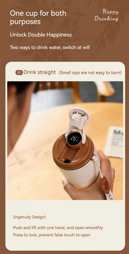 450ml Stainless Steel Thermal Flask with LED Temperature Display