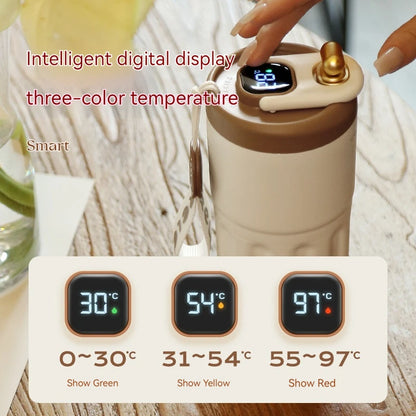 450ml Stainless Steel Thermal Flask with LED Temperature Display